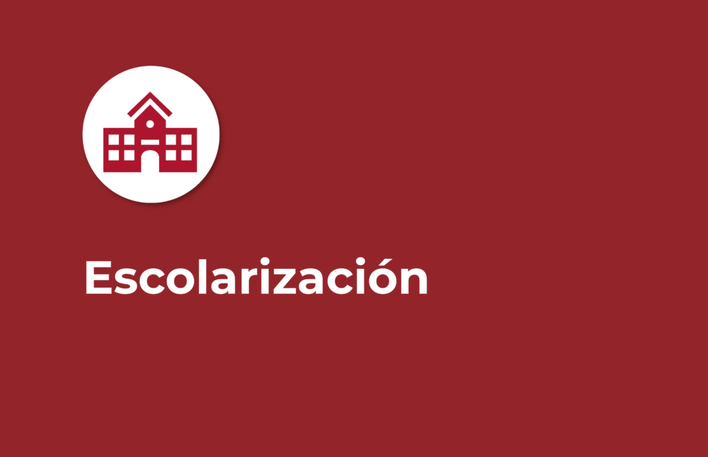 03 escolarizacion